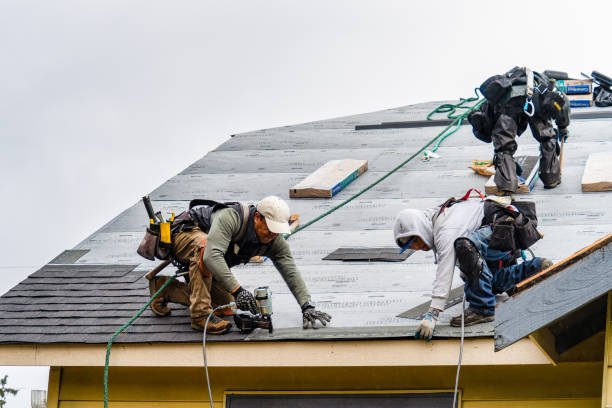 Professional Gutter Installation technician working in Preston, GA